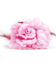 Large Pink Hair Flower Claw Clip