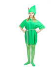 Adult Green Flying Boy Costume