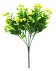 Baby's Breath Plant (Yellow)