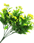 Baby's Breath Plant (Yellow)
