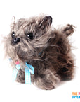Little Dog Soft Toy