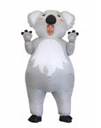 a person wearing an inflatable koala costume on a white background.