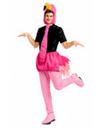 Adult Flamingo Costume
