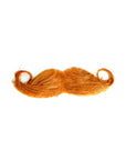 Assorted Fancy Party Moustaches