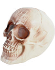Skull Prop Cream (19x16cm)
