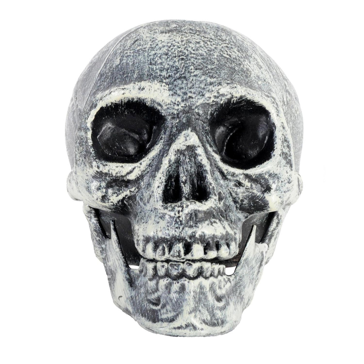 Skull Prop Grey White (Opening Jaw) 19x16cm