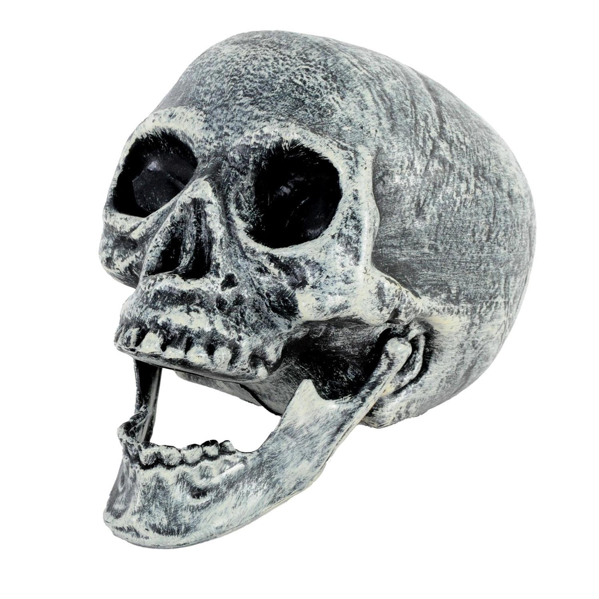 Skull Prop Grey White (Opening Jaw) 19x16cm