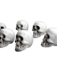 Mini Skull Decoration (6pk)