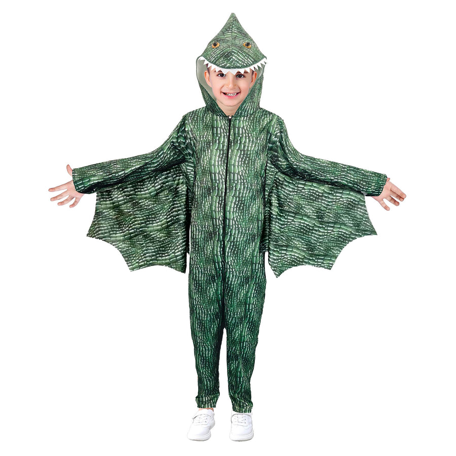 Children Dragon Costume
