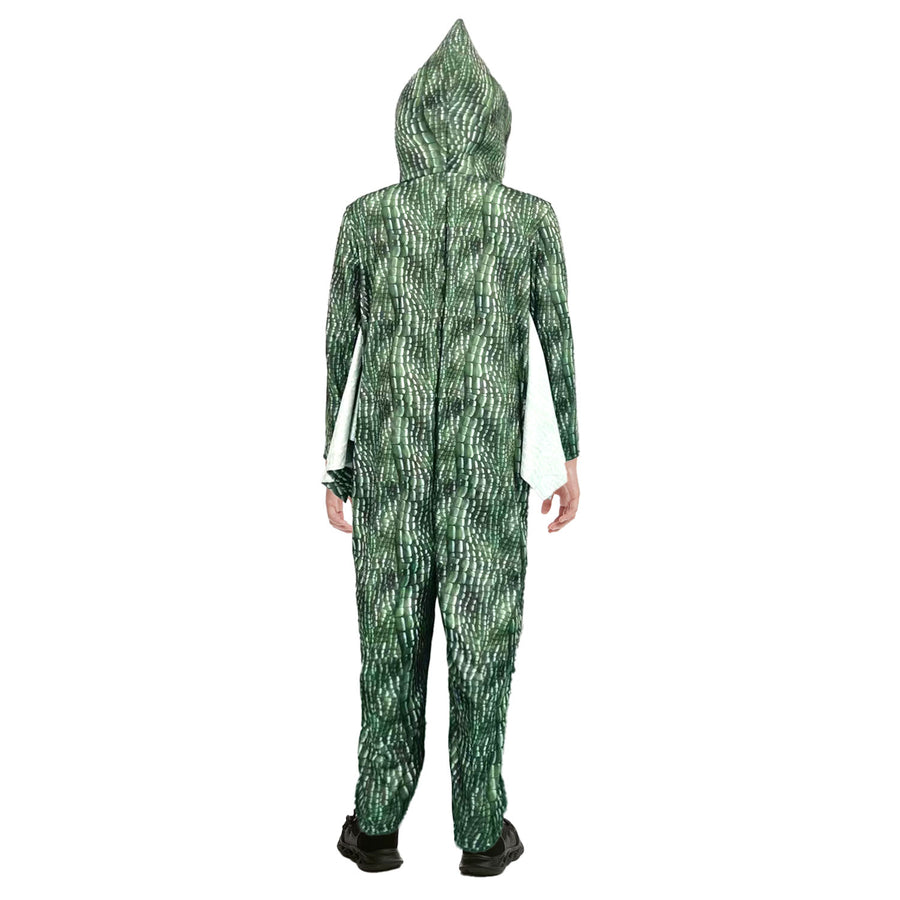 Children Dragon Costume