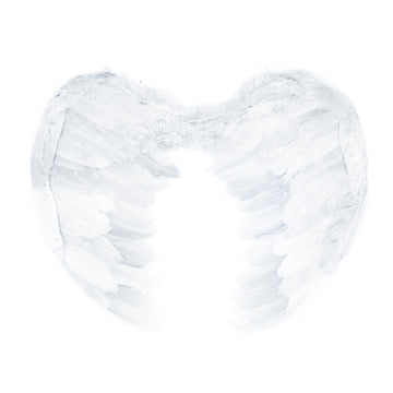 Angel Wing (White)