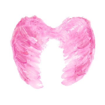 Angel Wing (Pink)