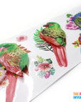 Jumbo Bird 3D Stickers (Assorted)