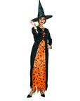 Adult Black and Orange Witch Costume