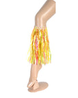 Hawaiian Leg Bands (Rainbow Grass)