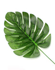 Single Monstera Leaf (Mini)