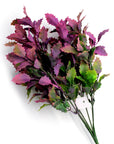 Holly Leaves (Purple)