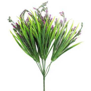 Long Leafy Lavender