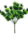 Green Conifers Branch