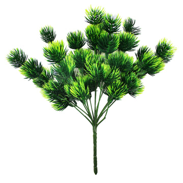 Green Conifers Branch