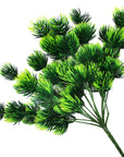 Green Conifers Branch