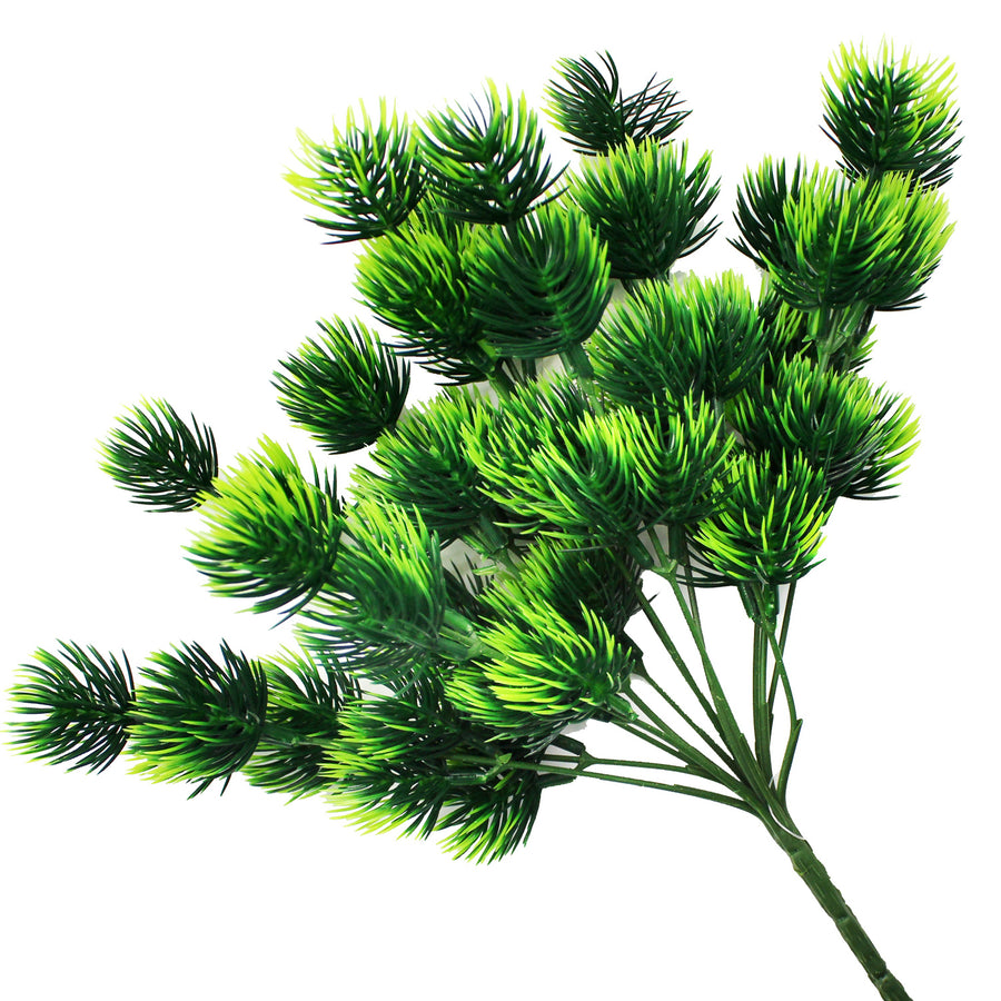 Green Conifers Branch