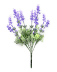 Lavender Plant