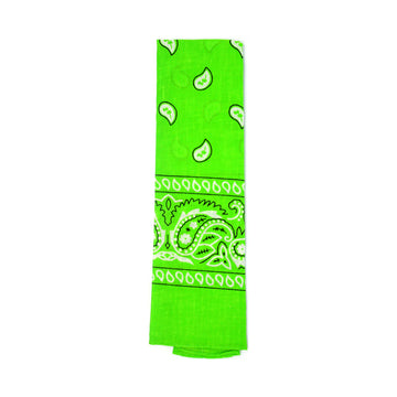 Paisley Bandana (Light Green)