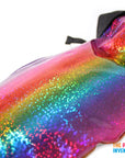 Rainbow Workout Accessory Kit