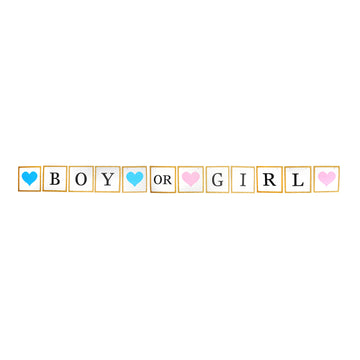 Boy or Girl Gold Glitter Banner