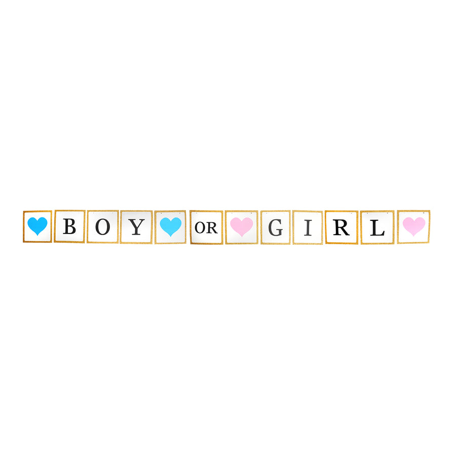 Boy or Girl Gold Glitter Banner