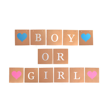 Boy or Girl Kraft Brown Banner