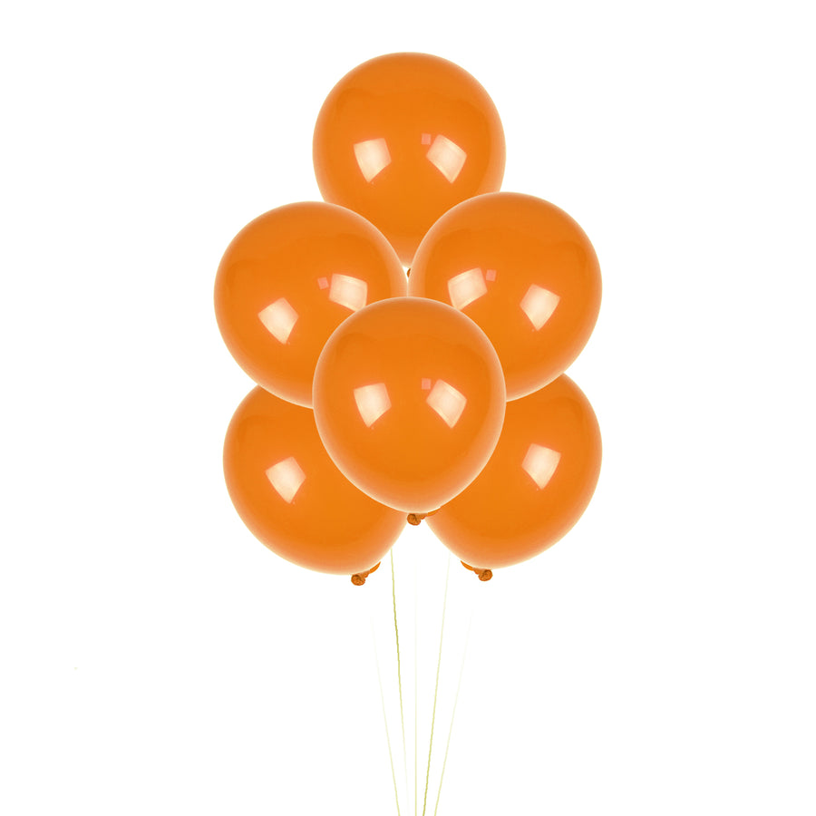 Orange Balloons (12 pcs)
