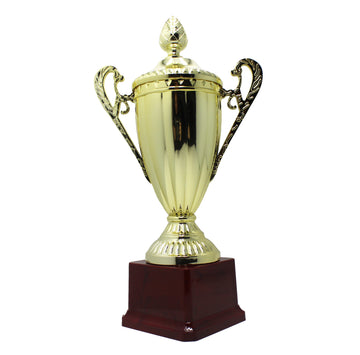 Medium Classic Gold Cup Trophy