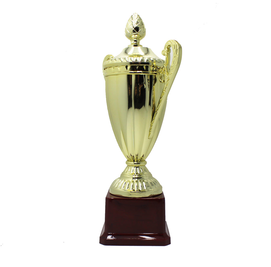 Medium Classic Gold Cup Trophy