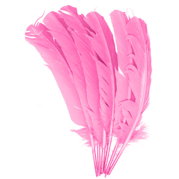 Large Light Pink Craft Feathers