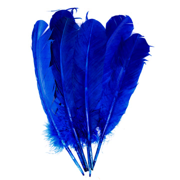 Large Blue Craft Feathers