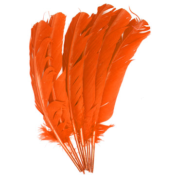 Large Orange Craft Feathers