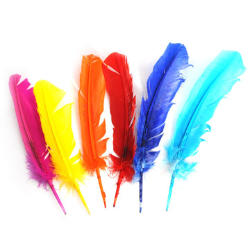 Large Rainbow Craft Feathers