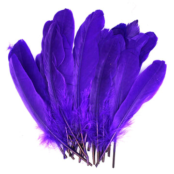 Small Purple Craft Feathers