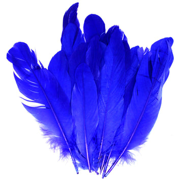 Small Blue Craft Feathers