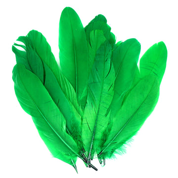 Small Green Craft Feathers