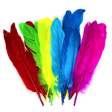 Small Rainbow Craft Feathers