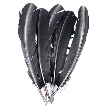 Large Black Craft Feathers