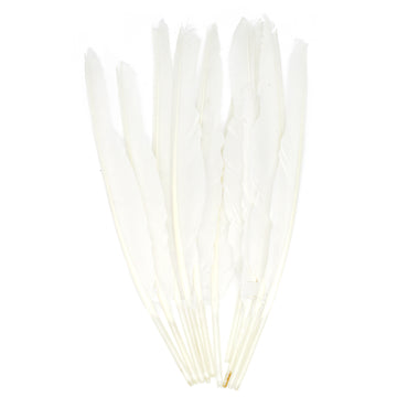Large White Craft Feathers