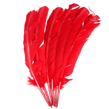 Large Red Craft Feathers