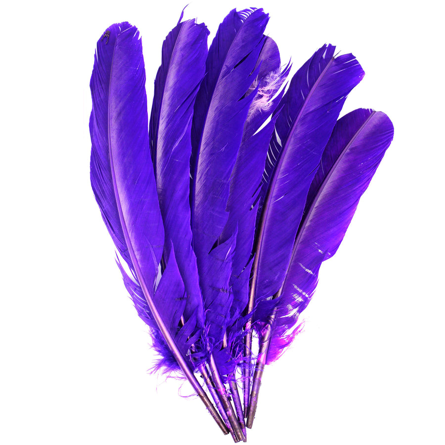 Purple Feathers 28cm (Pack of 6), Arts and Crafts