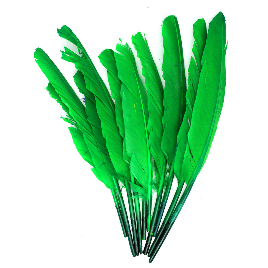 Large Green Craft Feathers