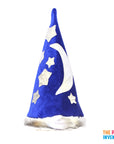 Wizard Costume Accessory Kit