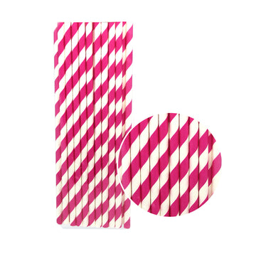 Paper Straws (Stripe Hot Pink)